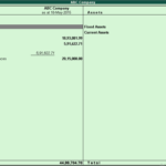 tally erp 9